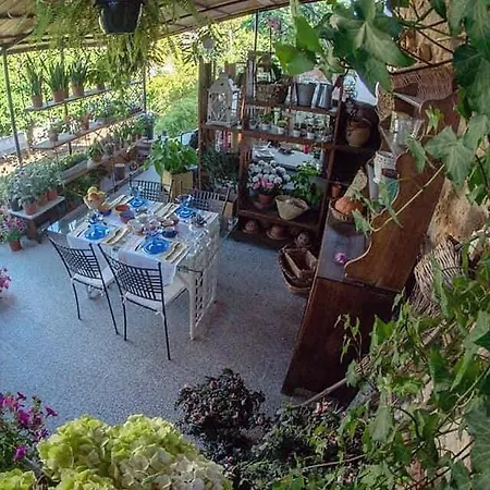 I Leoni Di Sicilia Palermo