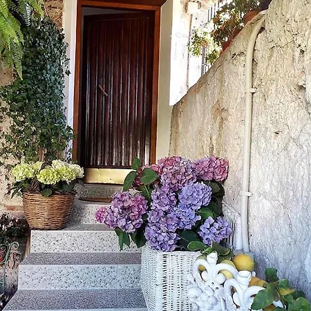 I Leoni Di Sicilia *