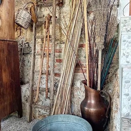 I Leoni Di Sicilia * Palermo