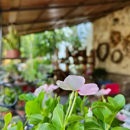 I Leoni Di Sicilia Holiday home