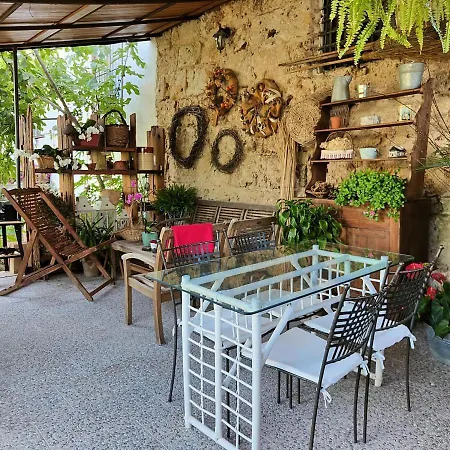 I Leoni Di Sicilia